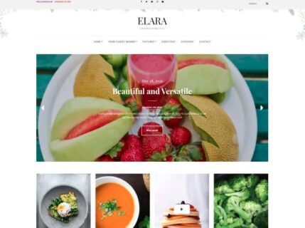 Elara wordpress theme-min